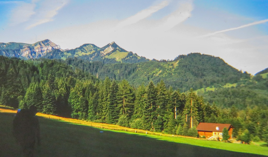 auf der Alm